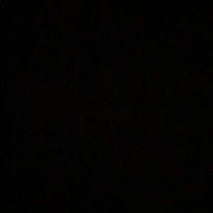 Meet your Posher, Bailey